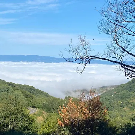 Appartement Milmari Lux N8 *