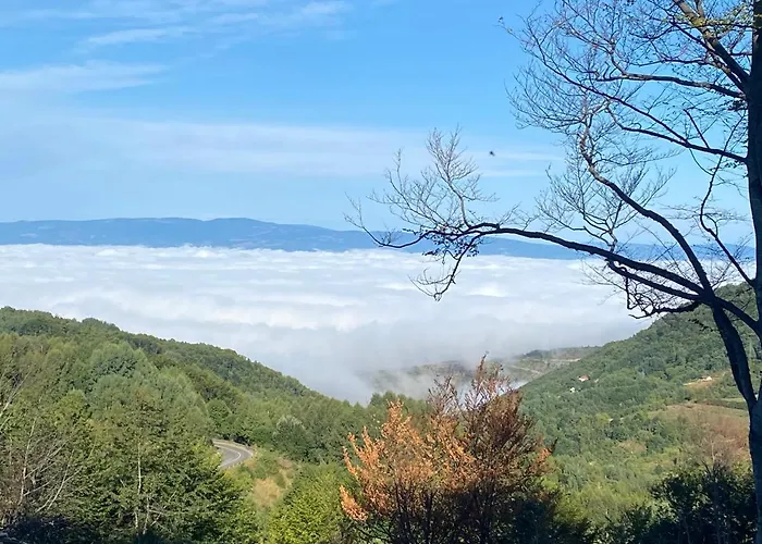 Apartment Milmari Lux N8 *