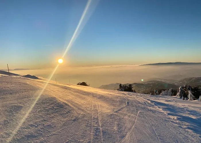 Milmari Lux N8 Kopaonik